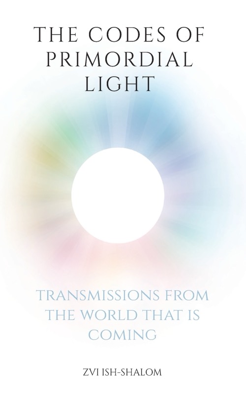 The Codes of Primordial Light cover